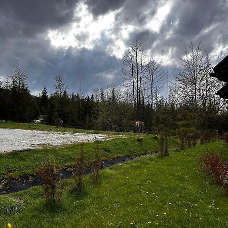 Apartamenty Willa Nika Zakopane Kültér fotó