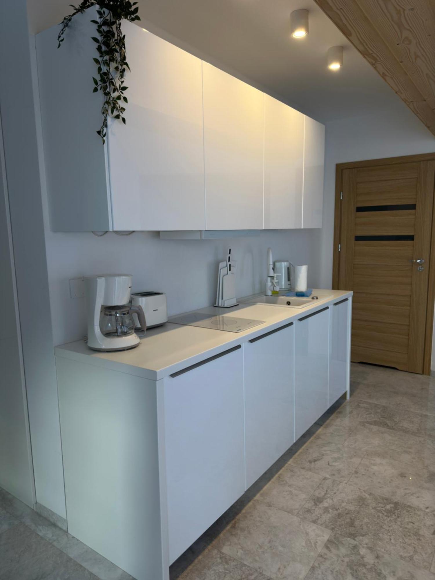 Apartamenty Willa Nika Zakopane Kültér fotó