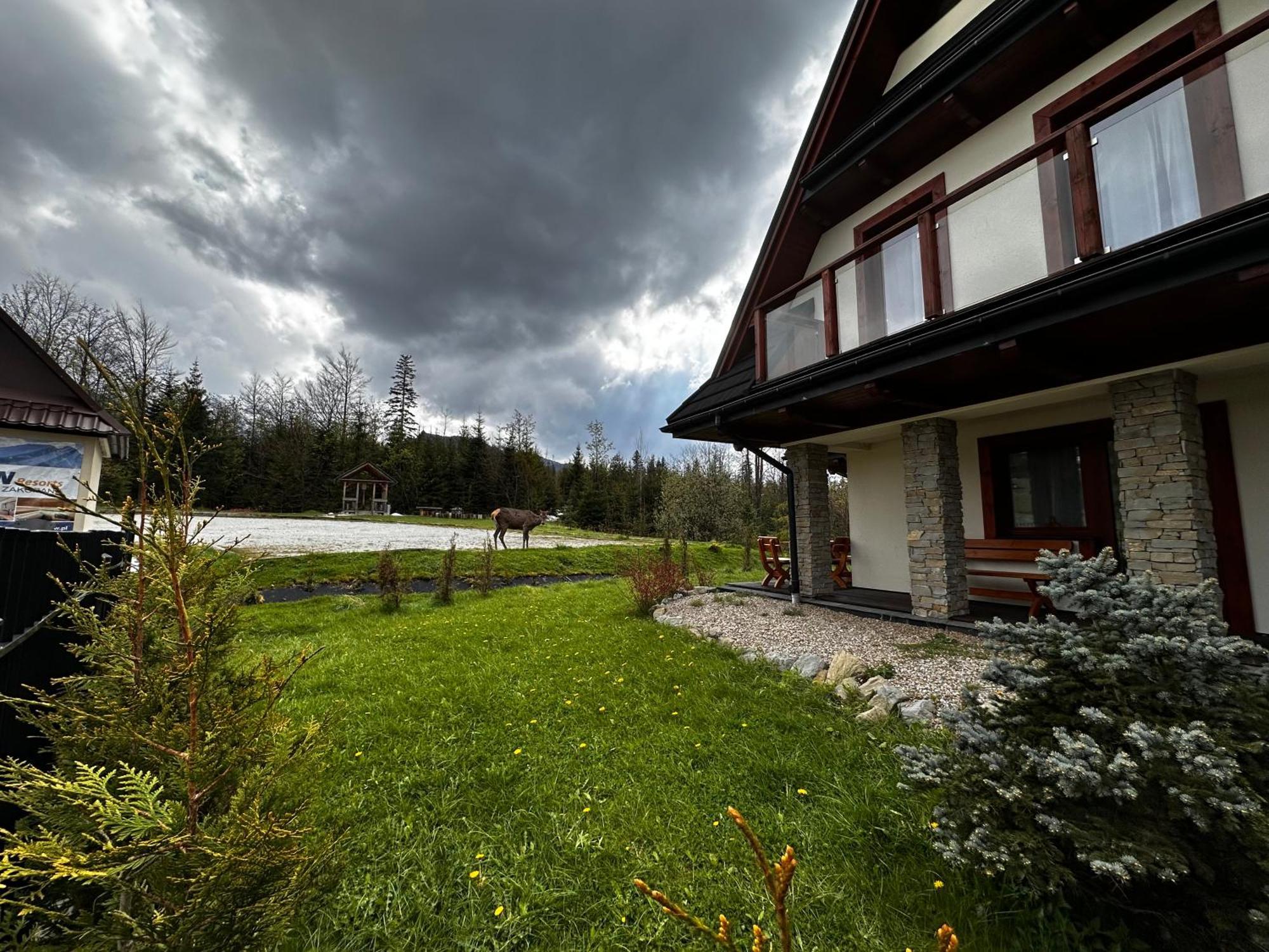 Apartamenty Willa Nika Zakopane Kültér fotó