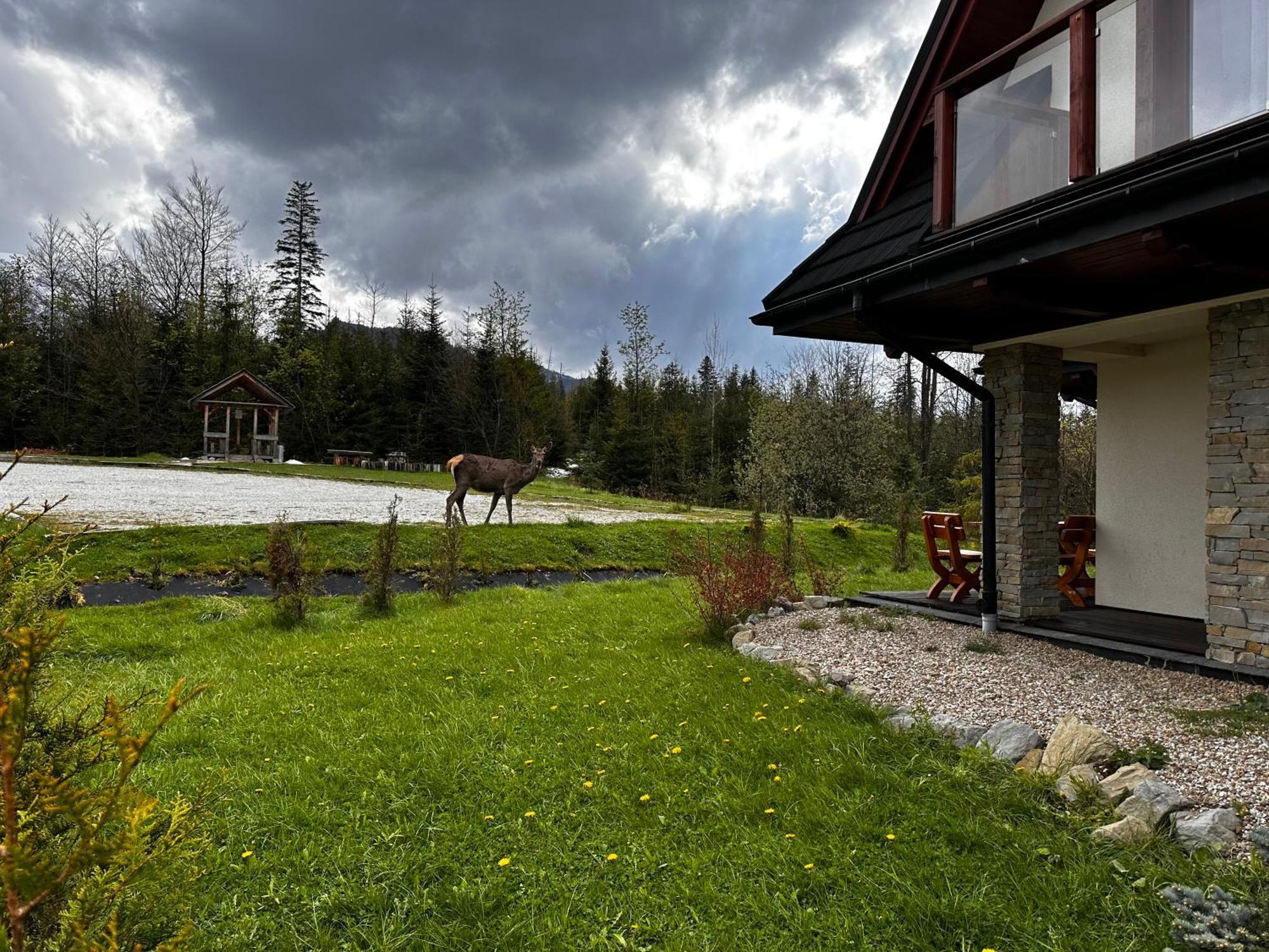 Apartamenty Willa Nika Zakopane Kültér fotó